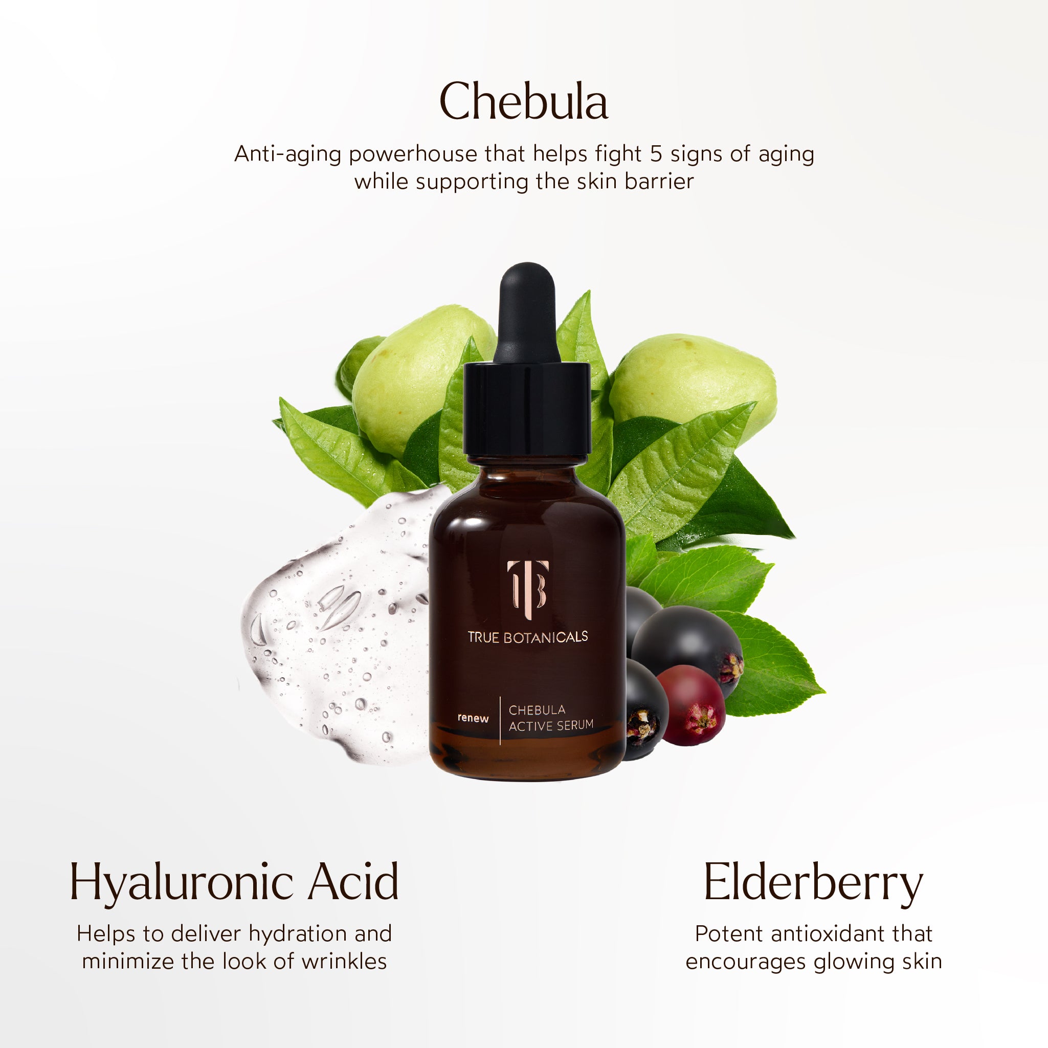 True Botanicals-RENEW Chebula Active Serum-Skincare-S-W-D-RSIS-R-10_11c3ba4c-6a24-433c-a73c-a3dd278e4d3c-The Detox Market | 