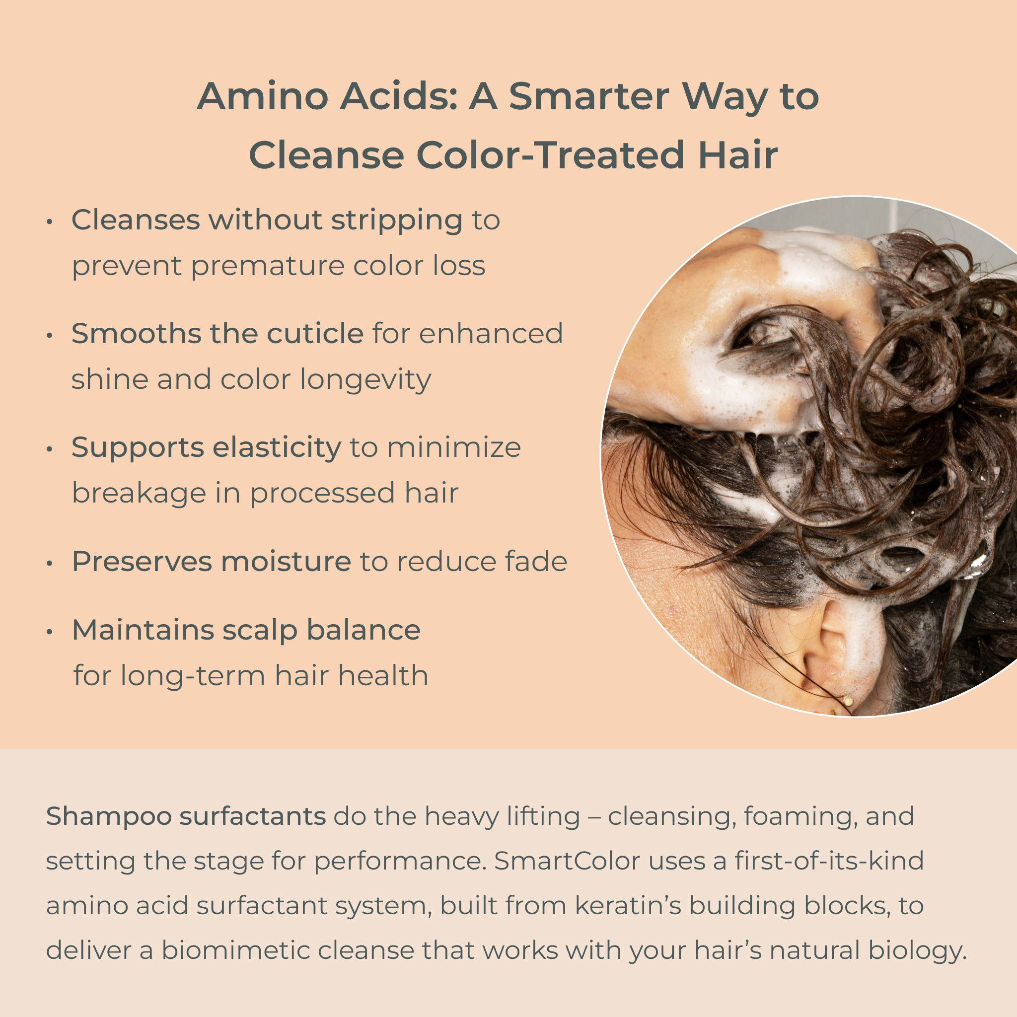 EVOLVh-SmartColor Color Protecting Shampoo-Hair-SmartColorShampooAminoAcidsBenefits-The Detox Market | 