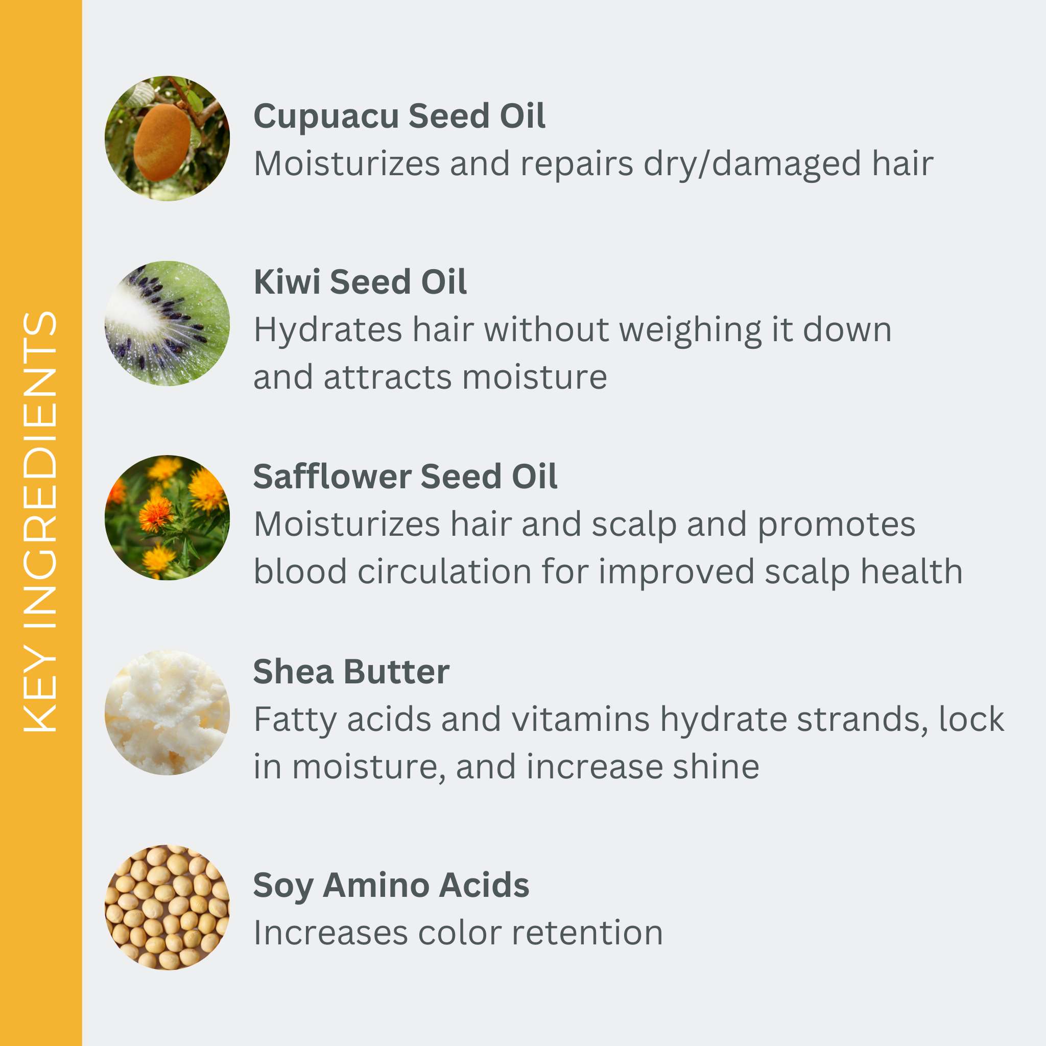 EVOLVh-SmartColor Color Protecting Shampoo-