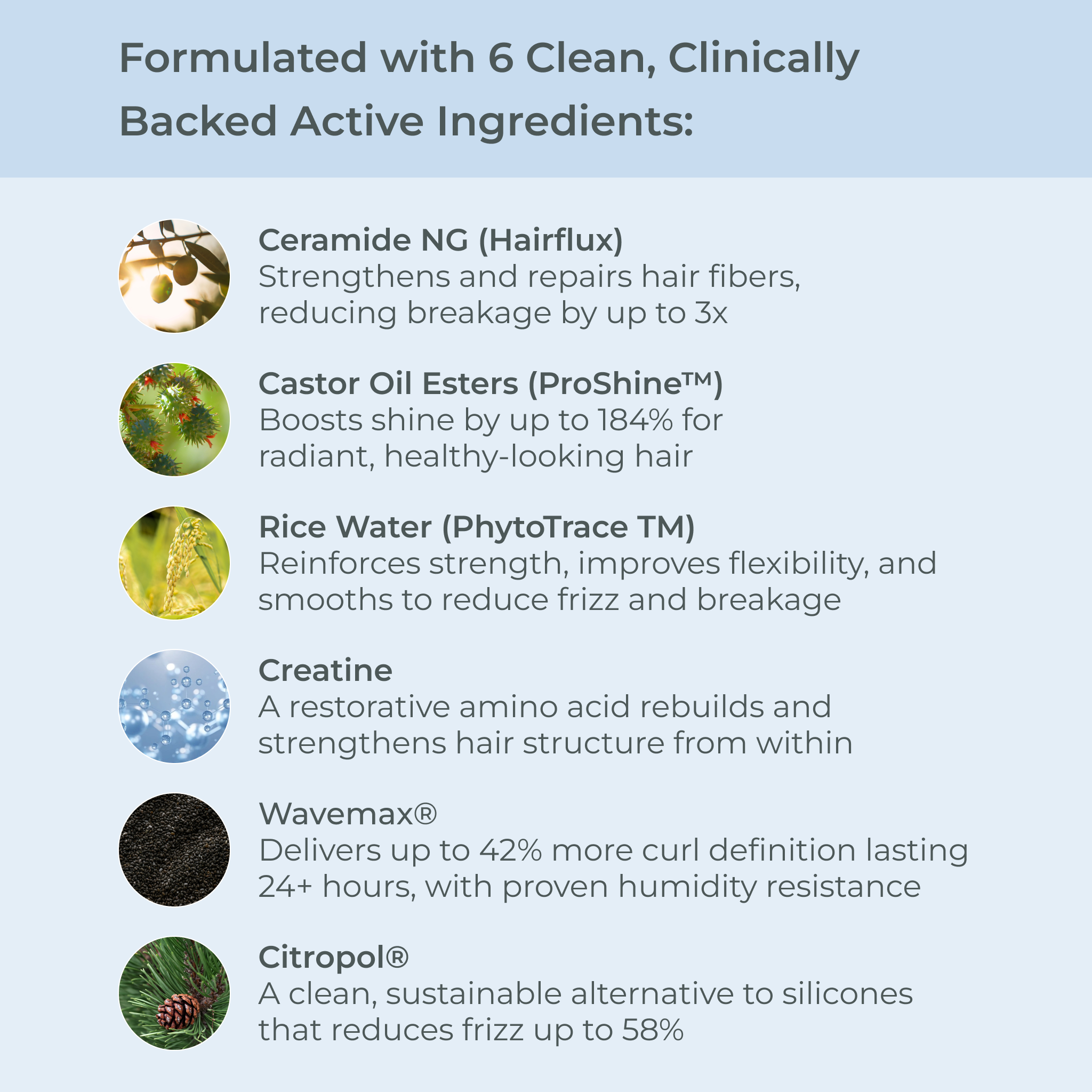 EVOLVh-SmartCurl Hydrating Conditioner-Hair-SmartCurlConditioneringredients_16613ddb-66a1-4568-ac59-33aa9d5b2d8c-The Detox Market | 
