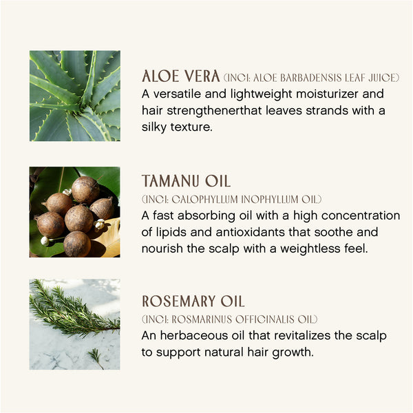 Innersense-Sweet Spirit Leave-In Conditioner-Hair-SweetSpiritLeaveinConditioner-Ingredients-The Detox Market | 