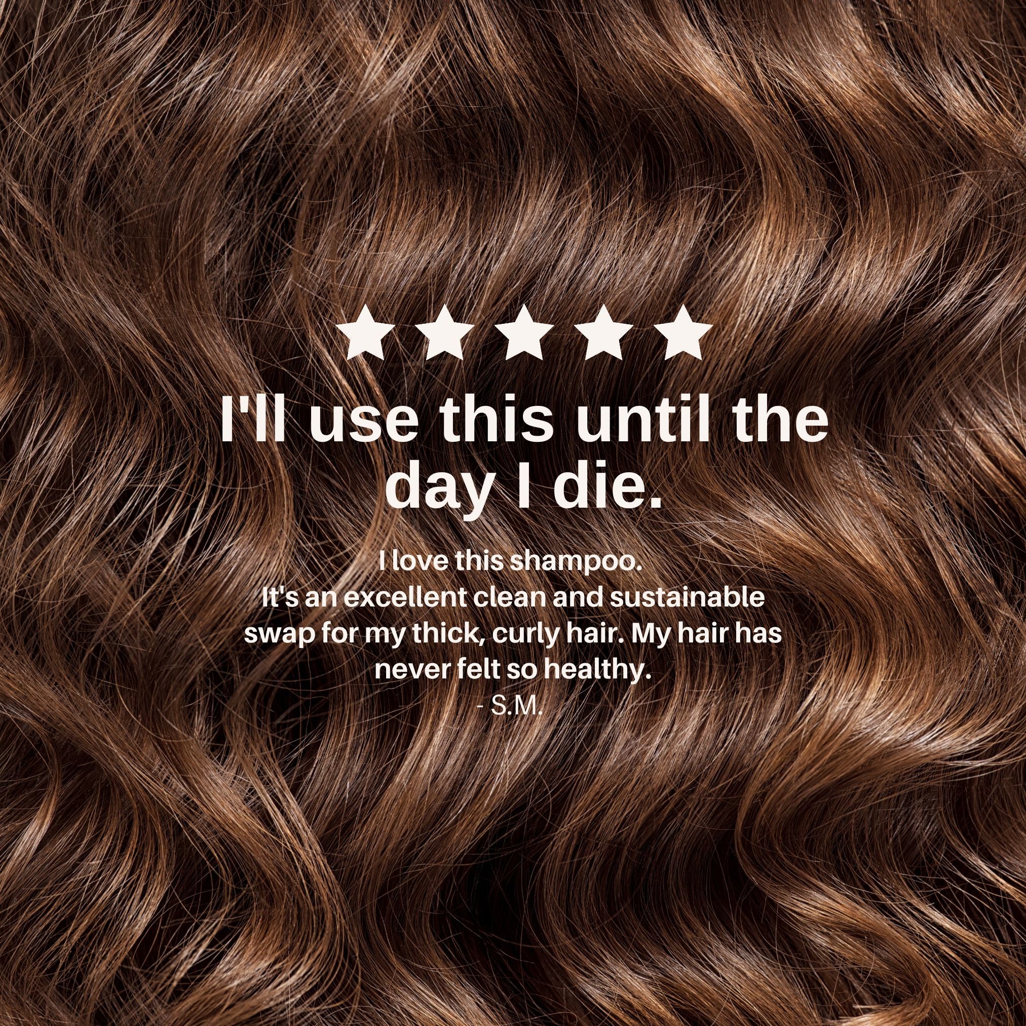 Everist-The Shampoo Concentrate-Hair-TheShampooConcentrate-image7-The Detox Market | 