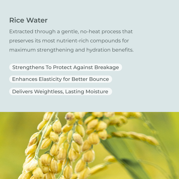 EVOLVh-UltraShine Moisture Shampoo-Hair-UltraShineShampooRiceWater-The Detox Market | 