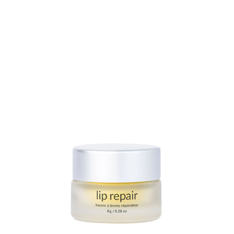 Lip Repair
