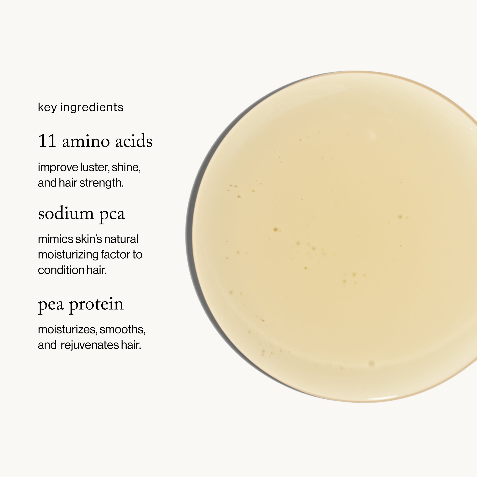 Goop-Goopglow Restore + Shine Amino Acid Shampoo-Hair-aminoacidshampoo_imgCarousel_ingredients-The Detox Market | 