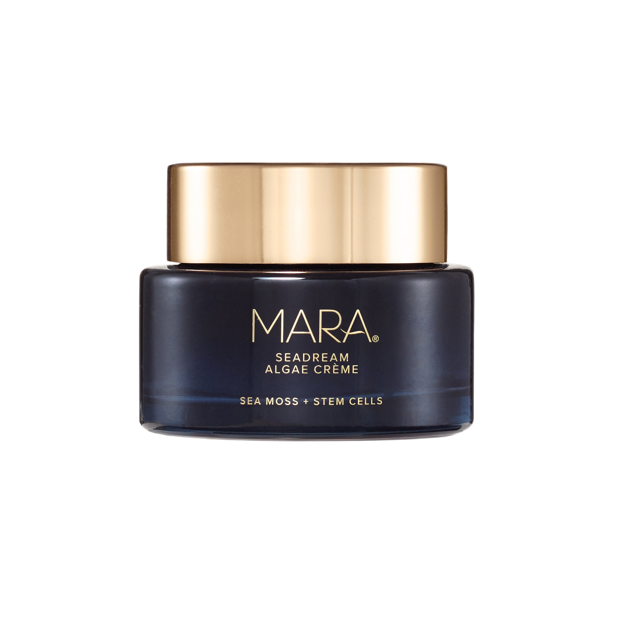 Sea Moss + Stem Cells Seadream Firming Algae Créme