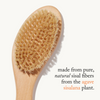 Goop-G.Tox Ultimate Dry Brush-Body-drybrush_imgCarousel_benefitstatement-The Detox Market | 