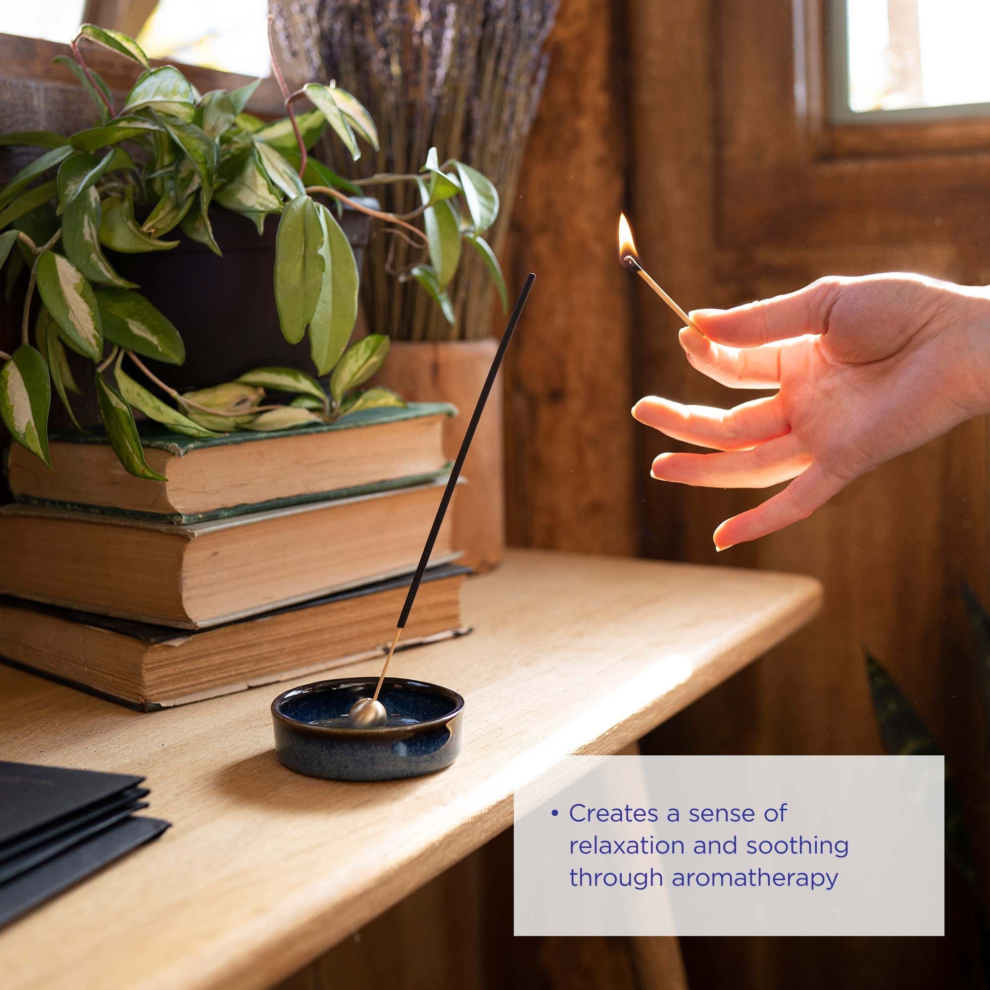 Province Apothecary-Black Spruce + Fir Balsam Essential Oil Incense-Home-incensebenefits_e28a5489-a0c5-418c-b43c-3d54c90d7be4-The Detox Market | 