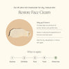 Wildcraft-Restore Face Cream-Skincare-restore_face_cream_infographic-The Detox Market | 