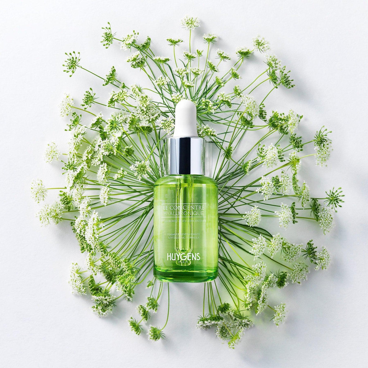 Huygens-Hyaluronic Acid Concentrate-