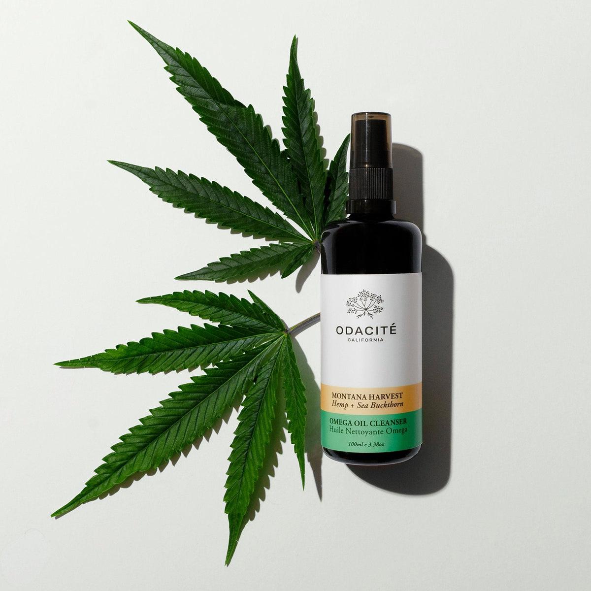 odaciteoilcleanser2-The Detox Market - Canada